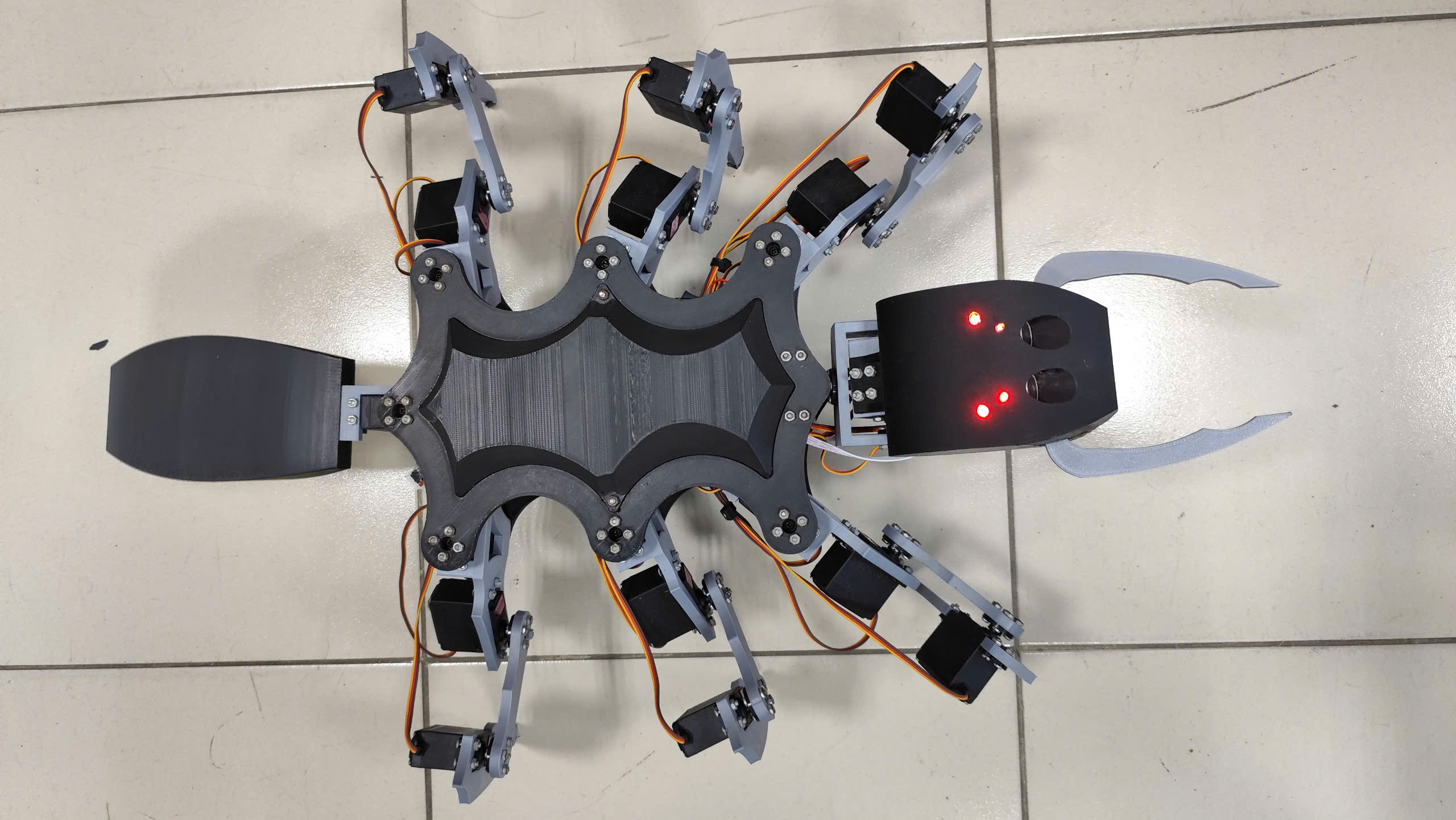 Interactive Ant